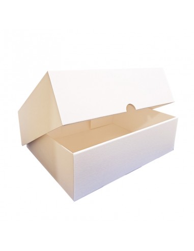 Pudło archiwizacyjne szczękowe Protectbox A4