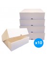 Pakiet 10 pudeł archiwizacyjnych Protectbox A4